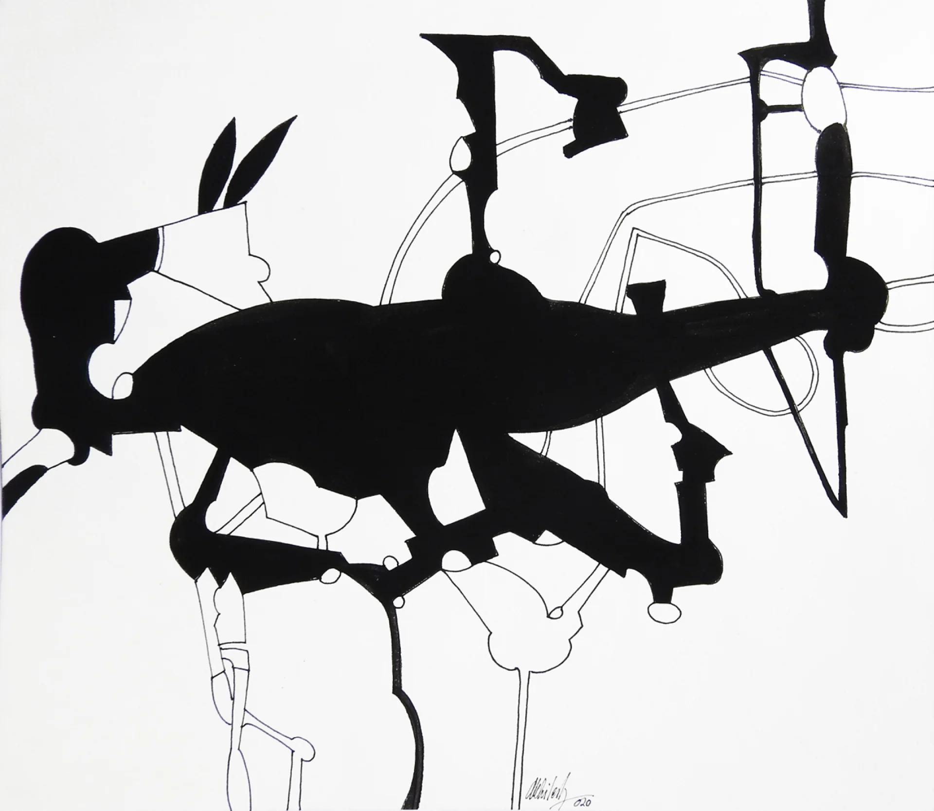 Colour has a memory of future